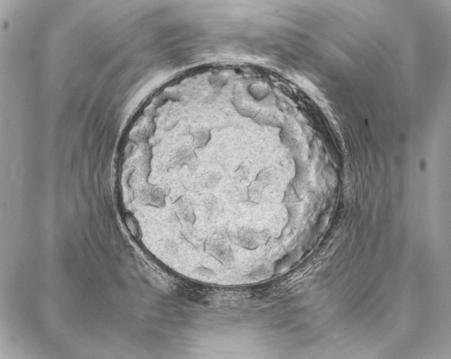 X0000086921183200705071320