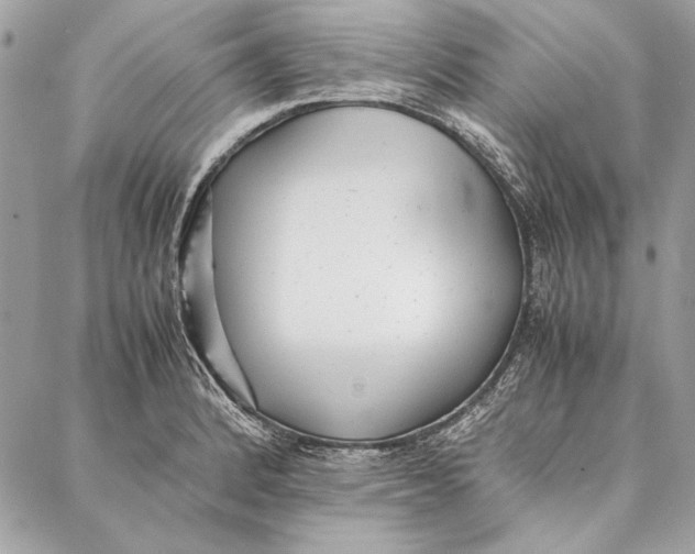 X0000086921184200705071320