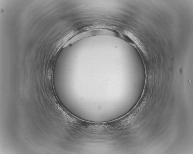 X0000086921185200705071320