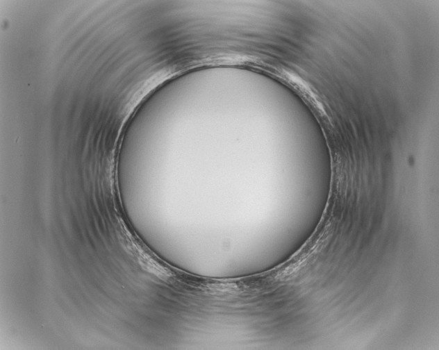 X0000086921186200705071320