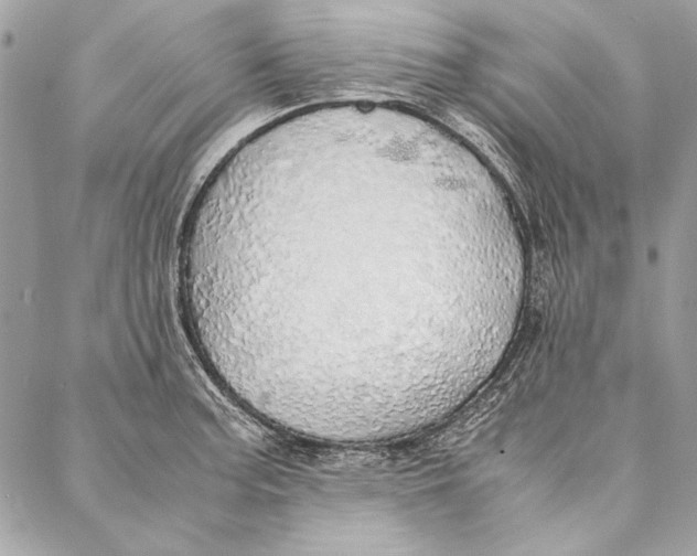 X0000086921187200705071320