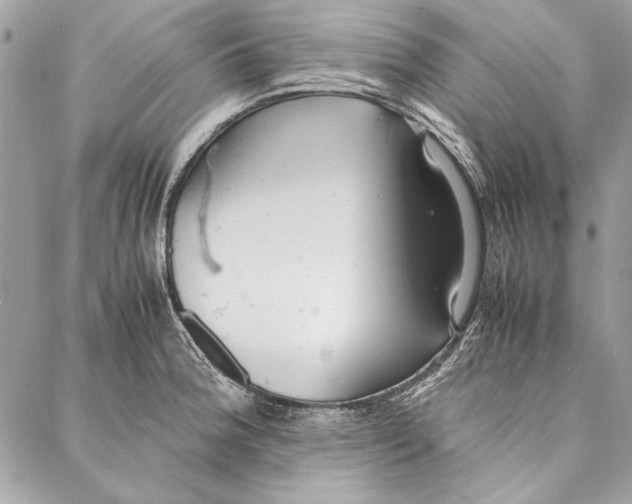 X0000086921188200705071320