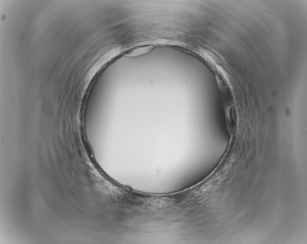 X0000086921189200705071320