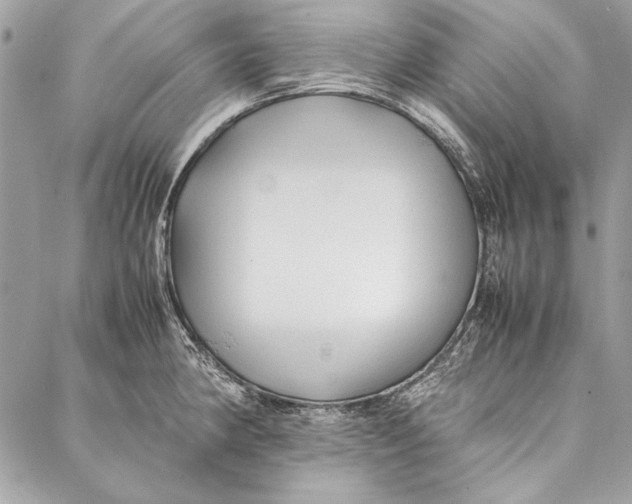 X0000086921190200705071320