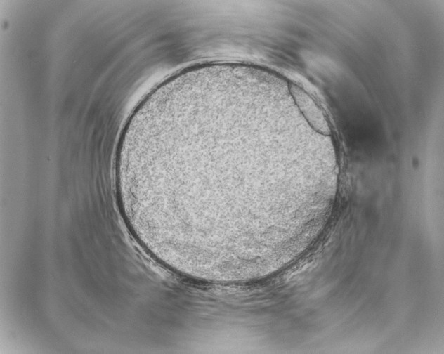 X0000086921191200705071320