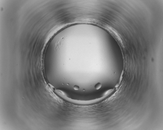 X0000086921192200705071320