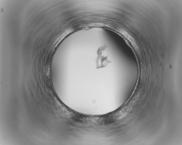 X0000086921193200705071320