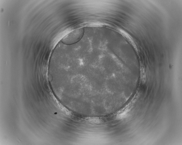 X0000086921194200705071320