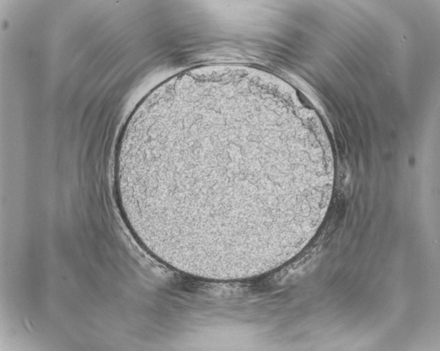 X0000086921195200705071320