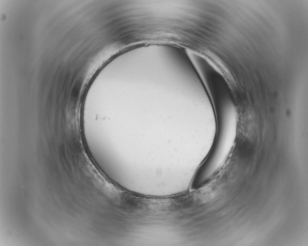 X0000086921196200705071320