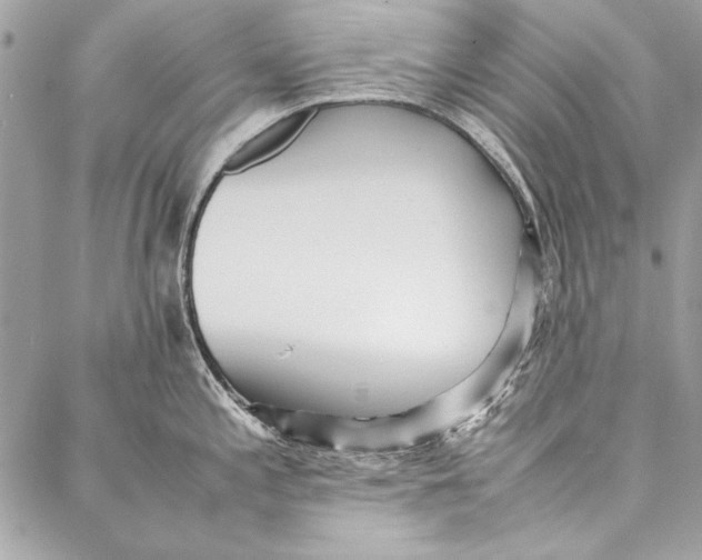 X0000086921197200705071320