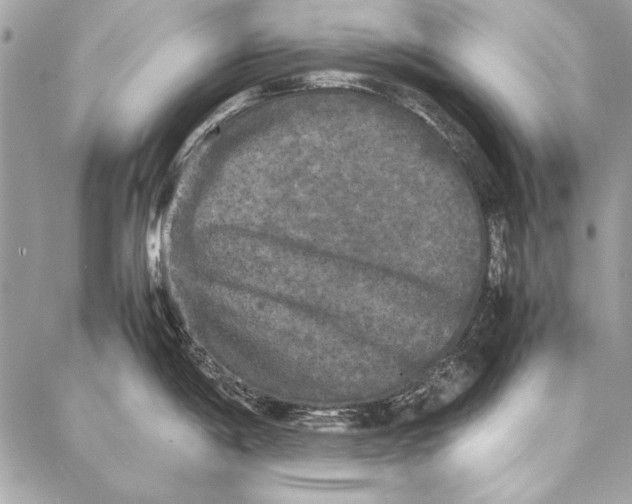 X0000086921198200705071320