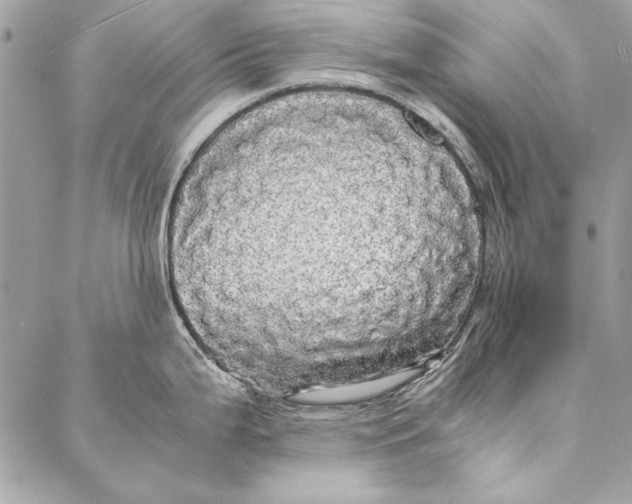 X0000086921199200705071320