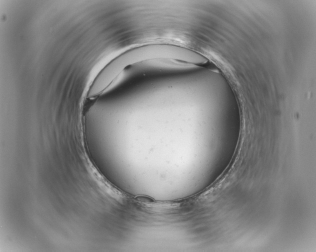 X0000086921200200705071320