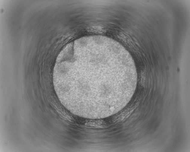 X0000086921201200705071319