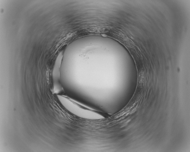 X0000086921202200705071319