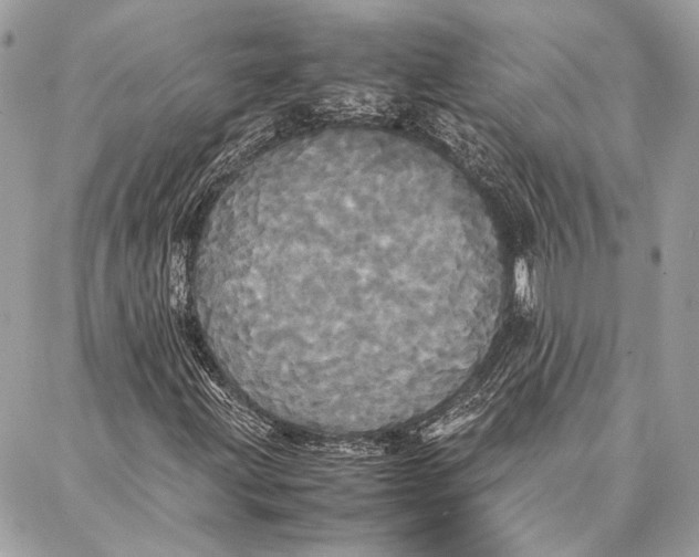 X0000086921203200705071319