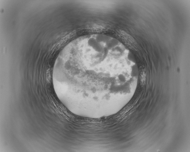 X0000086921204200705071319