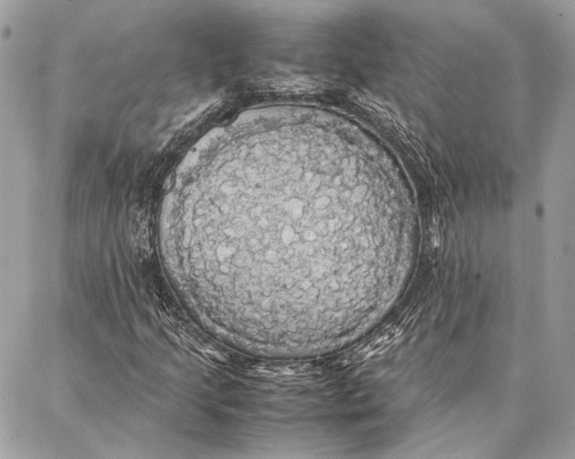 X0000086921205200705071319