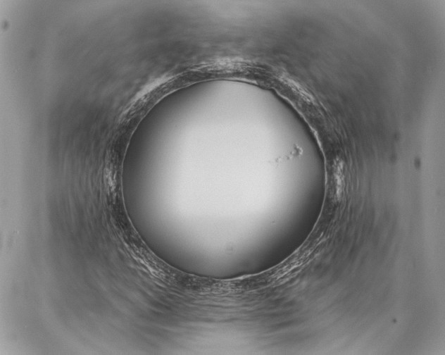 X0000086921206200705071319