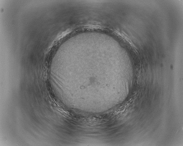 X0000086921207200705071319