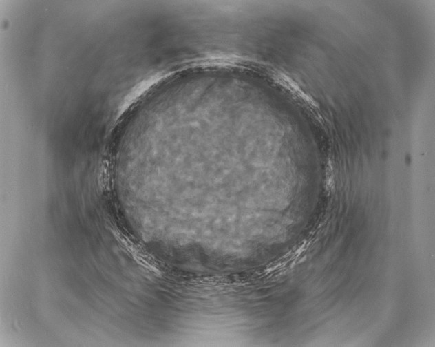 X0000086921208200705071319