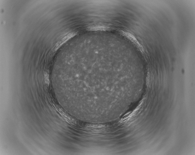 X0000086921209200705071319