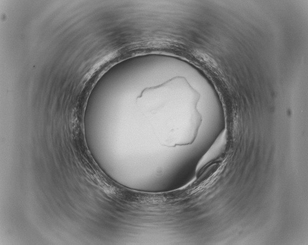 X0000086921210200705071319