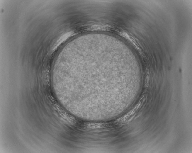 X0000086921211200705071319