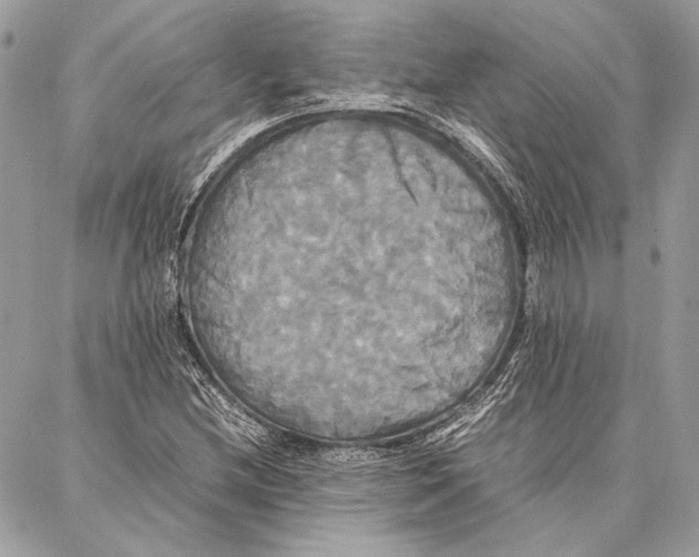 X0000086921212200705071319