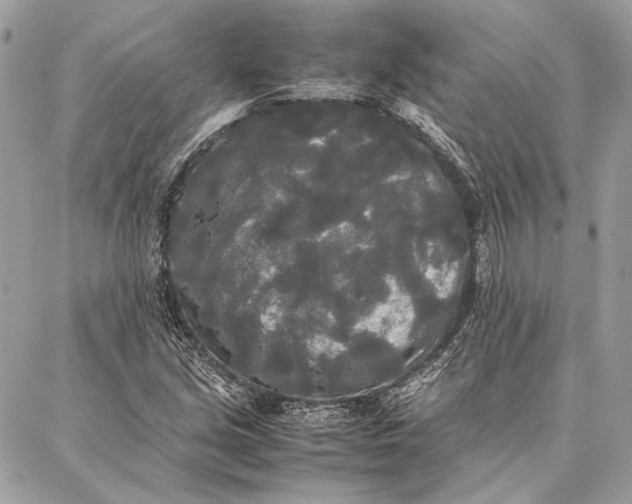 X0000086921213200705071319