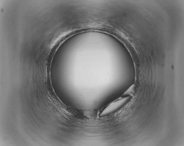 X0000086921214200705071319