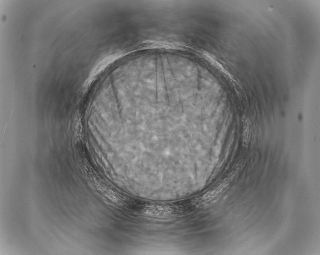 X0000086921215200705071319