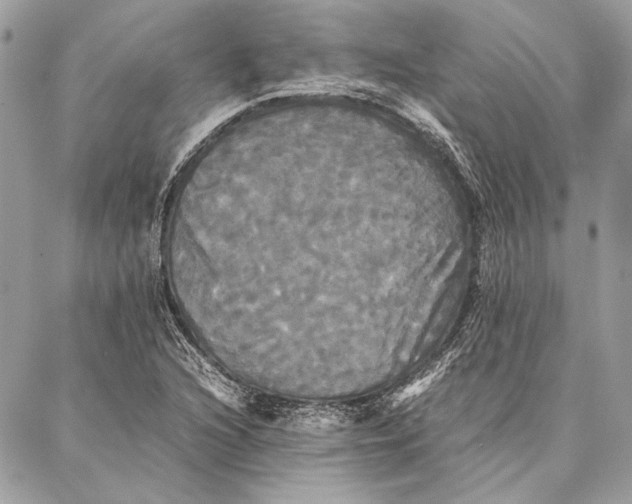 X0000086921216200705071319