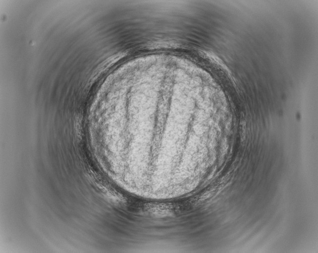 X0000086921217200705071319