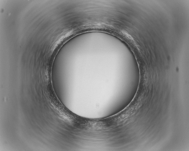 X0000086921218200705071319