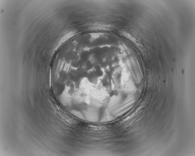 X0000086921219200705071319