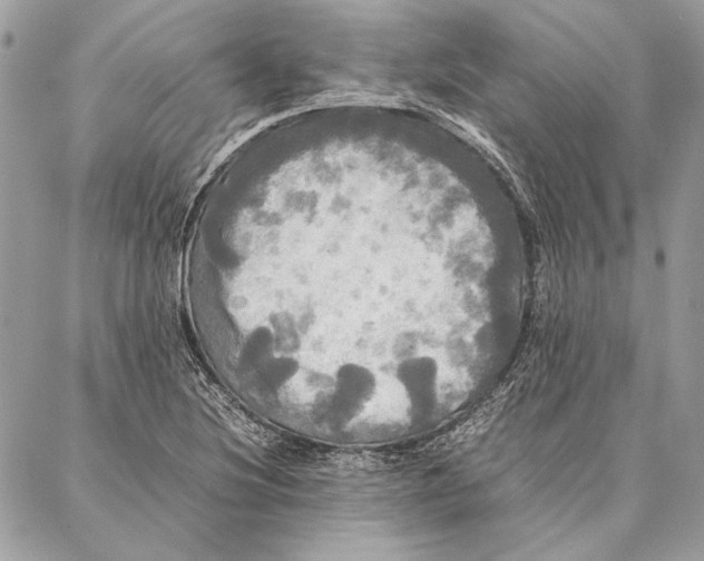 X0000086921220200705071320