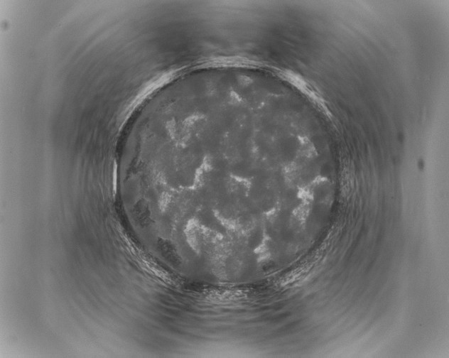 X0000086921221200705071320