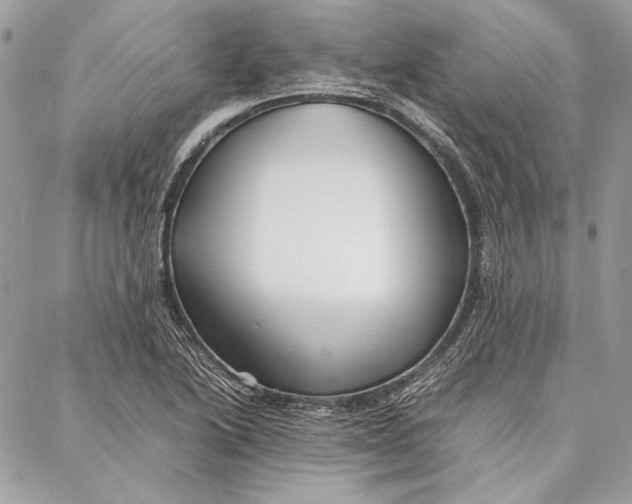 X0000086921222200705071320