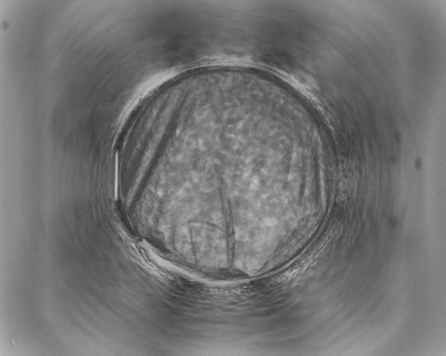 X0000086921223200705071320