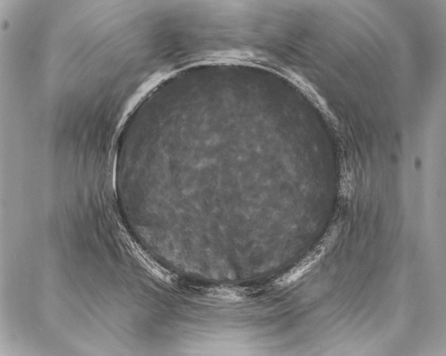 X0000086921224200705071320