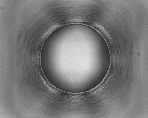 X0000086921225200705071320