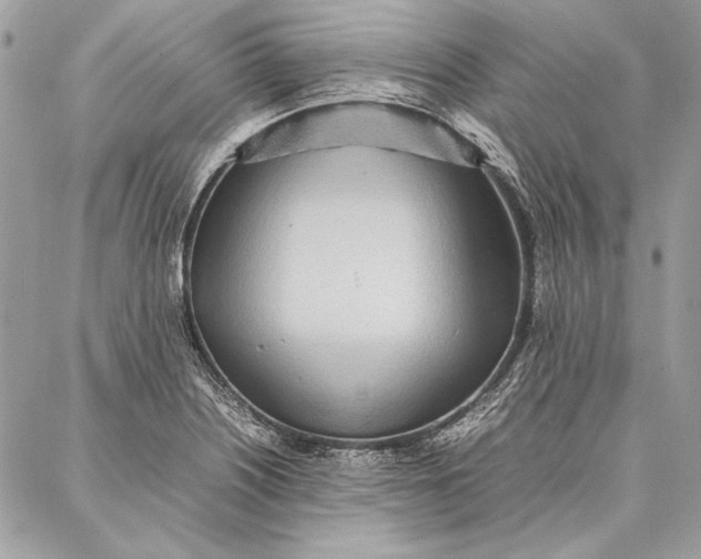 X0000086921226200705071320