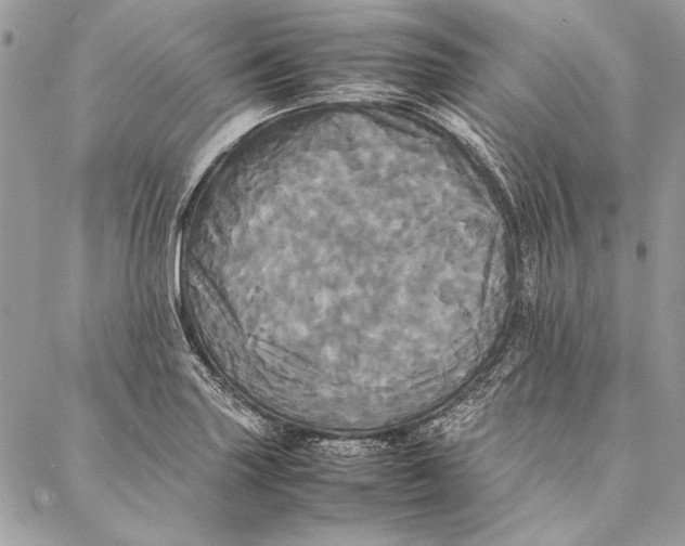 X0000086921227200705071320