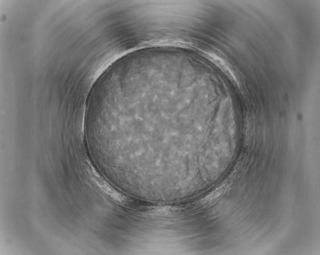 X0000086921228200705071320