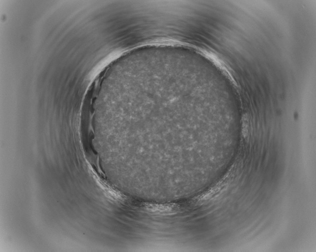 X0000086921229200705071320