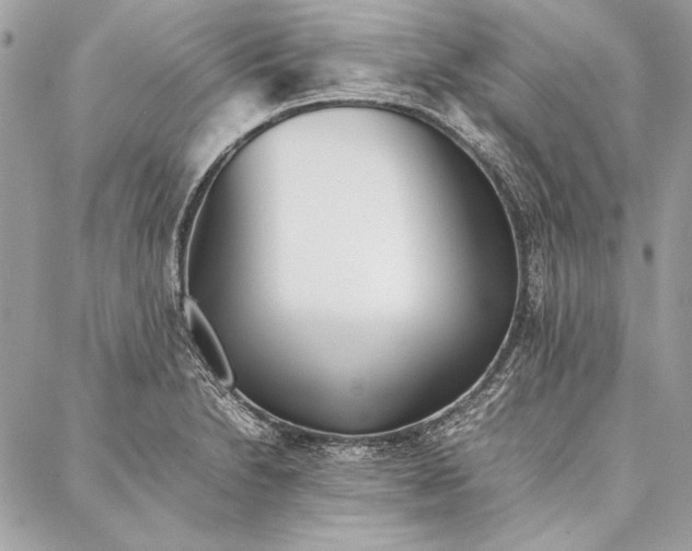 X0000086921230200705071320