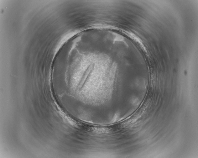 X0000086921231200705071320