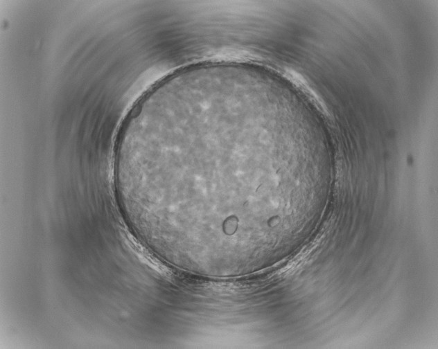 X0000086921232200705071320